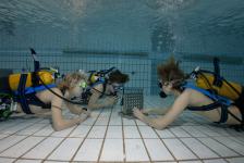 schnuppertauchen 2012_01_06_05